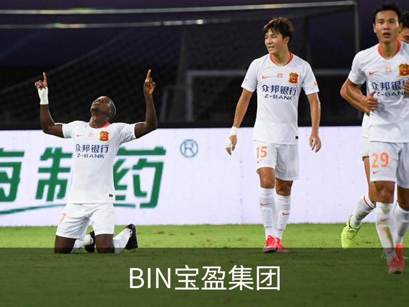 关于BIN宝盈集团